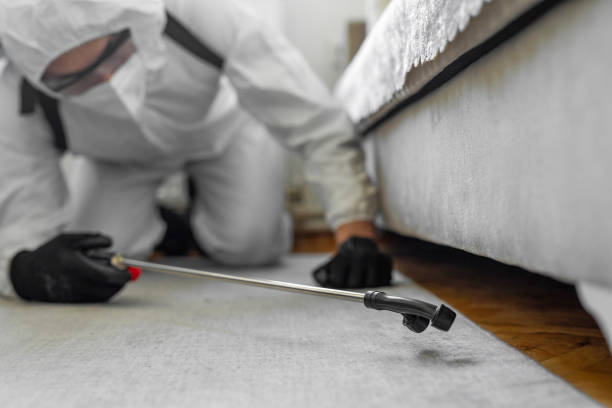 Professional Termite Control technician working in Hidden Meadows, CA